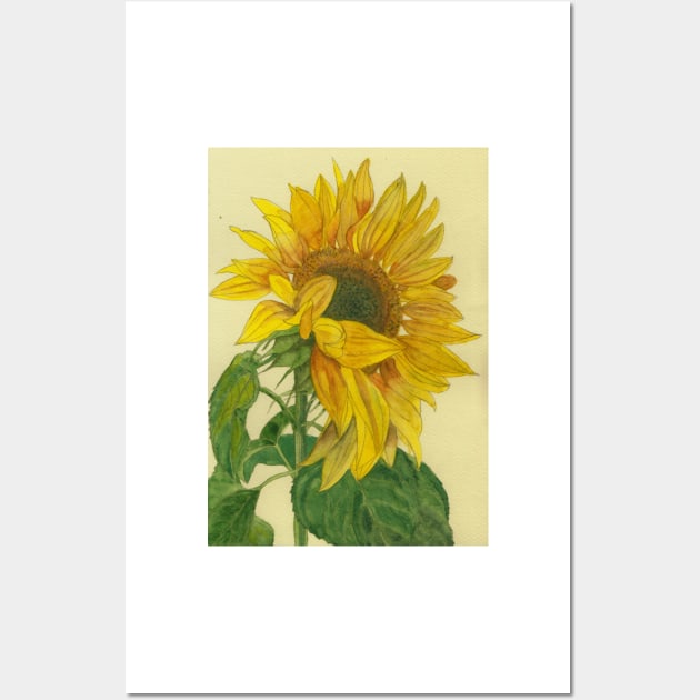 Sunflower watercolour painting Wall Art by esvb